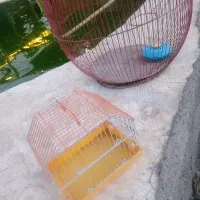 قفس پرنده وهمستر