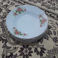 گلسرخی ژاپن قدیمی