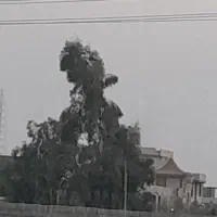 اجاره باغ بدون  اتاق