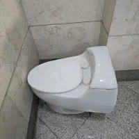 توالت فرنگی چینی‌کرد