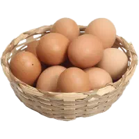 مواد خوراکی