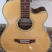 گیتار zinn (کلکسیونی) و گیتار epiphone اپیفون