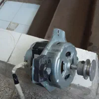 موتور سبزی خوردکنی