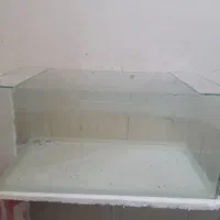 اکواریوم