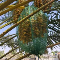باغ-ویلا-پردیس