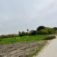 فروش-زمین-باغی