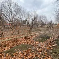 ۱۵۰۰ متر باغ سند تک برگ آماده ساخت|فروش زمین و ملک کلنگی|تهران, شهرک غرب|دیوار