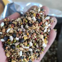 خوراک دام و طیور. انواع خوراک پرنده و دام