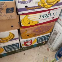 فروش کارتن موزی