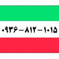 خط مخصوص کسب و کار