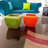 ۲ عدد گلدان کوچک