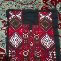 زیاستین