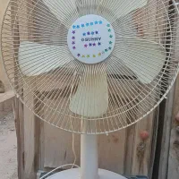 پنکه