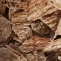 نونخشک