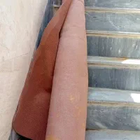 مو‌کت|موکت|سنندج, |دیوار