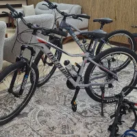 2 عدد دوچرخه اورلرد