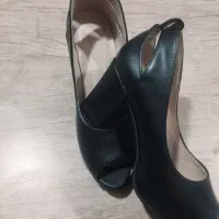 کفش مجلسی