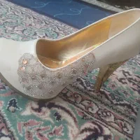 کفش مجلسی