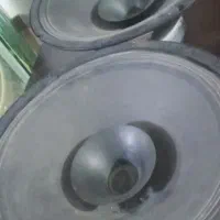 یک جفت میدرنج 12 200 وات 40 اهم