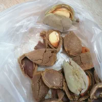 بادام درختی قزوین