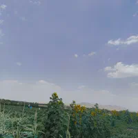 ۲۰۰۰ متر زمین باغی و کشاورزی دارای سهمیه اب