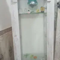 گنجه سالم