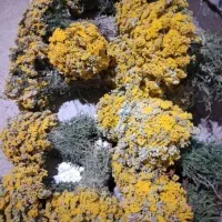 عرق بو مادران