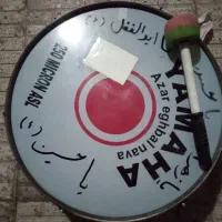 ط ب ل