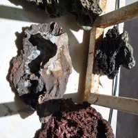 مختص آکواریوم