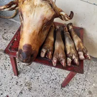 باسلام کله پاچه هایه شمارا به قیمت مناسب