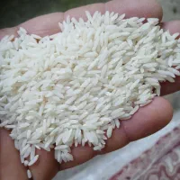 برنج لاشه نیم دانه