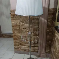 اباژور ایستاده