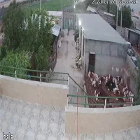 کار در خونه باغ ، دامداری