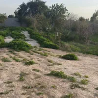 زمین خونه باغی منطقه مسکونی بنه ملااحمد