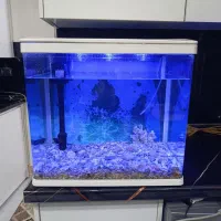 آکواریوم دلسا k500