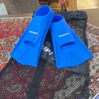 فین شنا