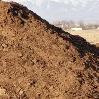 کود حیوانی|خدمات باغبانی و درختکاری|تنکمان, |دیوار