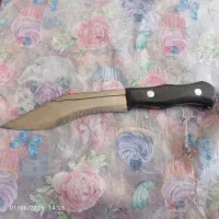 چاقو|کوهنوردی و کمپینگ|دزفول, |دیوار