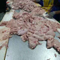 فروش مرغ قطعه بندی ویژه رستوران و مرغ فروشی