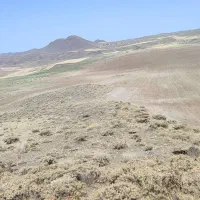 خرید-اقساطی-زمین-زراعی-در-روستای-اکرم-آباد-میانه