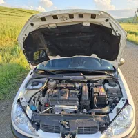 206 sd V8|خودرو سواری و وانت|آبش احمد, |دیوار
