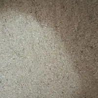 برنج نیم دونه شمال