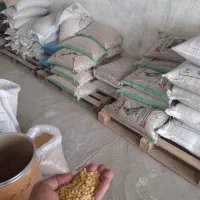 خوراک طیور