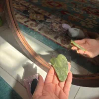 سنگ ماساژ گواشا