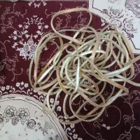 لاین هفت رنگ