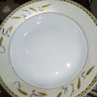 ظروف