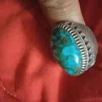 فیروزه شجر