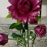 گل های ربانی
