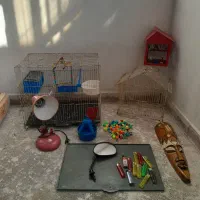 قفس پرنده