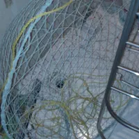 تور.  فلزی.  گرگور.  ماهی